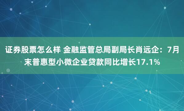 证券股票怎么样 金融监管总局副局长肖远企：7月末普惠型小微企业贷款同比增长17.1%