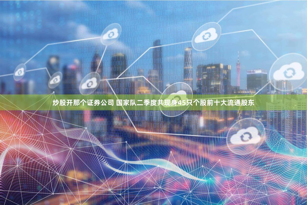 炒股开那个证券公司 国家队二季度共现身45只个股前十大流通股东